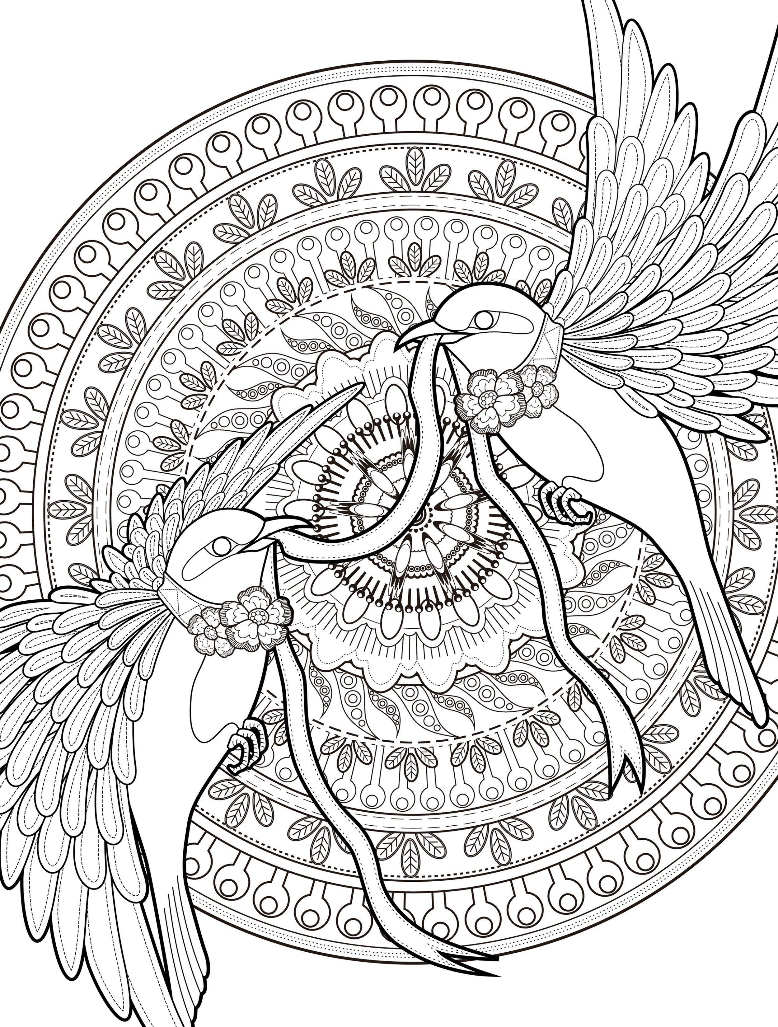 2500x3300 Bird Coloring Pages For Adults