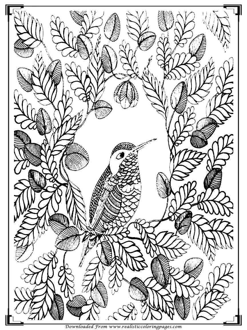 864x1152 Brilliant Angry Birds Coloring Pages With And Flowers Amazing