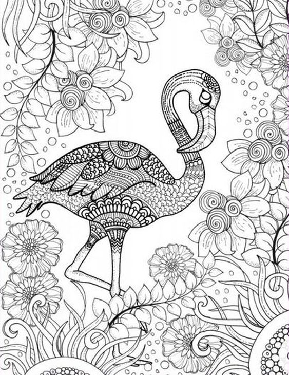 563x730 Beautiful Ideas Flamingo Coloring Pages Free Printable Adult Page