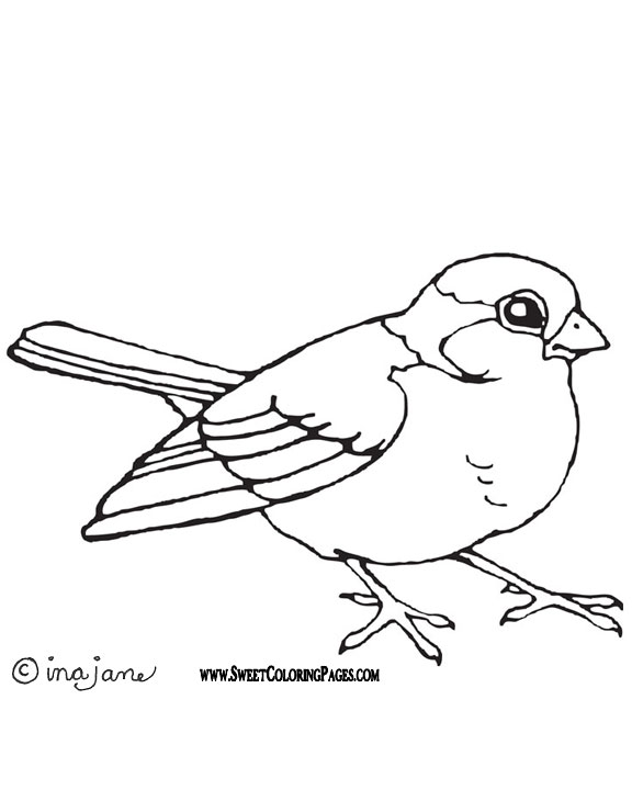 576x720 Bird Coloring Pages