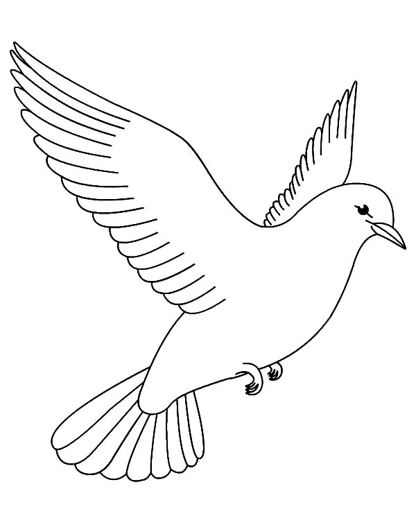 600x731 Doves Coloring Pages Dove Coloring Page Printable Coloring Image