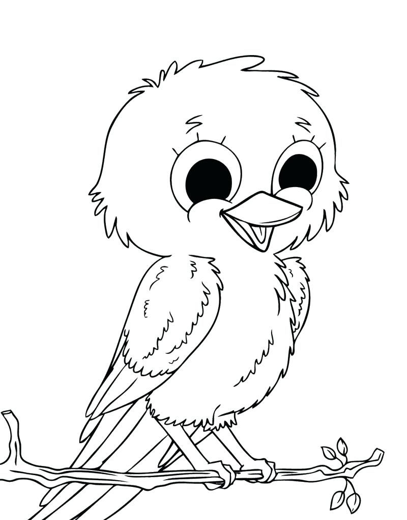 800x1020 Useful Bird Pictures For Kids To Color Coloring Pages 2693