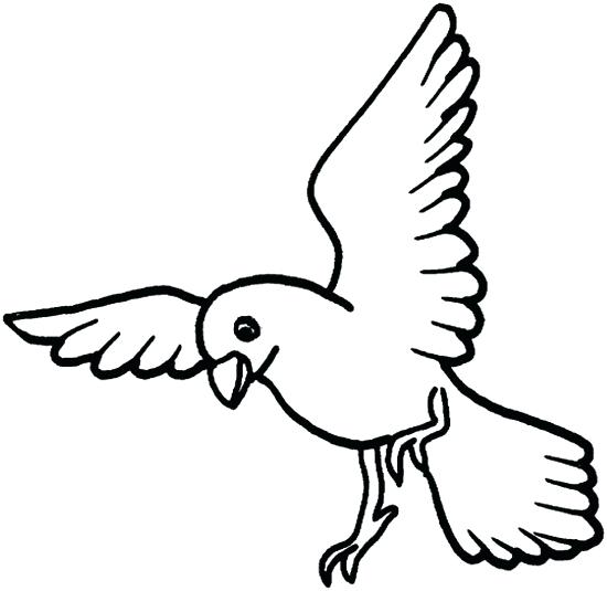 550x535 Bird Coloring Pages 6 2 The Angry Birds Movie Coloring Pages Chuck