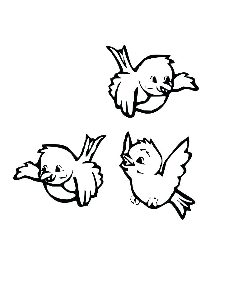 736x952 Bird Coloring Pages Bird Coloring Pages Preschool For Preschooler