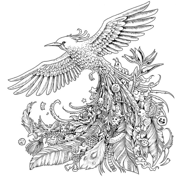 Bird Feather Coloring Pages