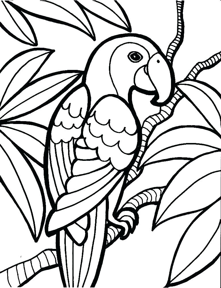 769x1001 Coconut Tree Coloring Page Coconut Tree Coloring Page Sensational