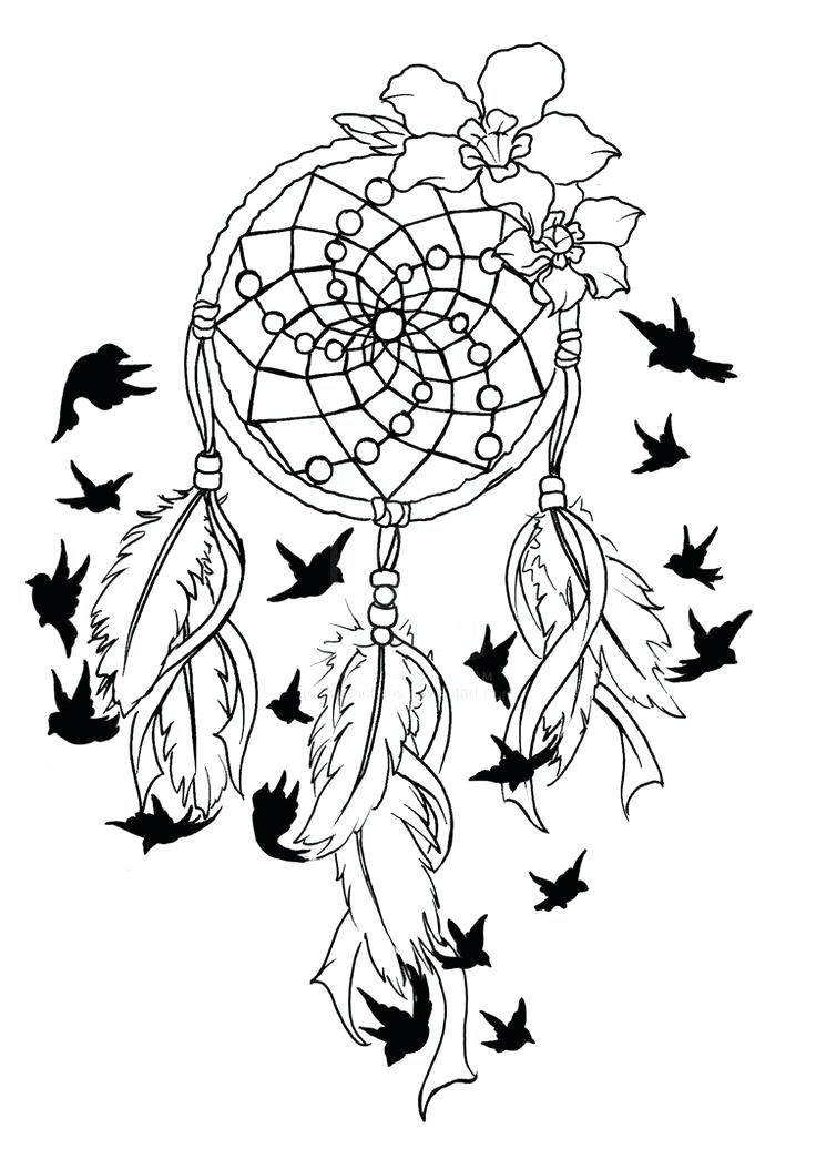 736x1036 Feather Coloring Pages 3 On Coloring Pages Bird Feather Coloring