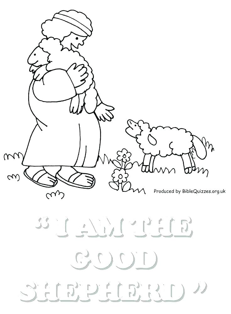 736x1000 Feather Coloring Pages Coloring Page Of A Turkey Coloring Pages