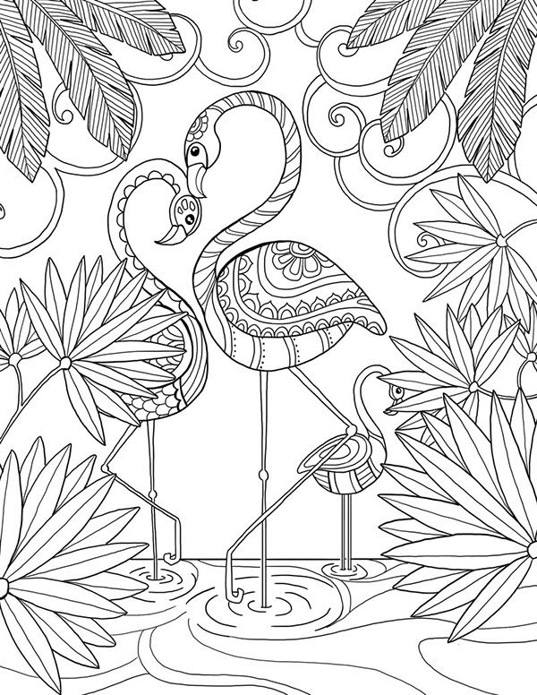 600x776 Flamingo Coloring Page