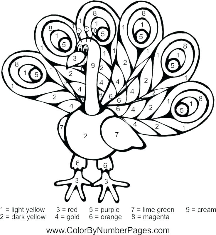 736x799 Peacock Feather Coloring Page Pin Drawn Feather Peacock Feather 6