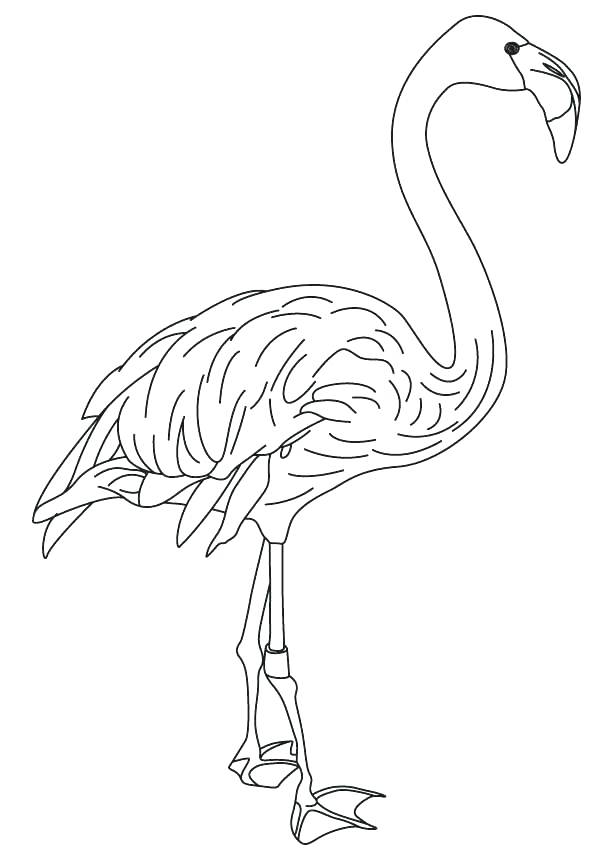 613x860 Bird Feather Coloring Pages Feather Coloring Pages Peacock Feather