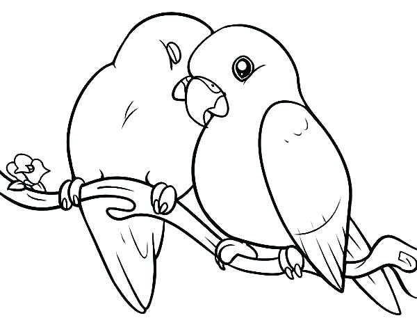 600x457 Coloring Pages Birds Coloring Pages Of Birds Love Bird Coloring