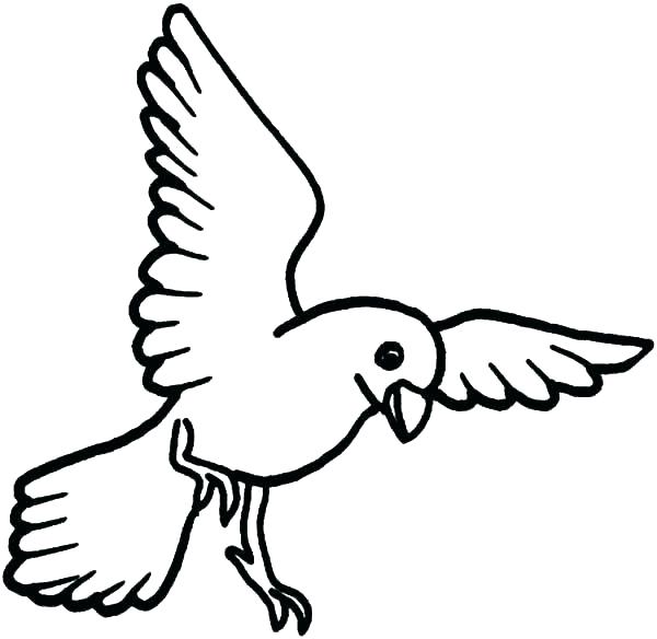 600x584 Coloring Pages Of Bird Feeders Printable Coloring Flying Bird