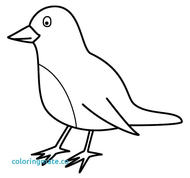 650x610 Printable Bird Coloring Pages Delectable Printable Coloring Pages