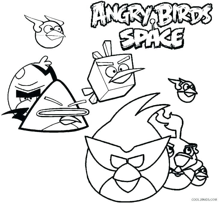 736x679 Spring Birds Coloring Pages Coloring Page