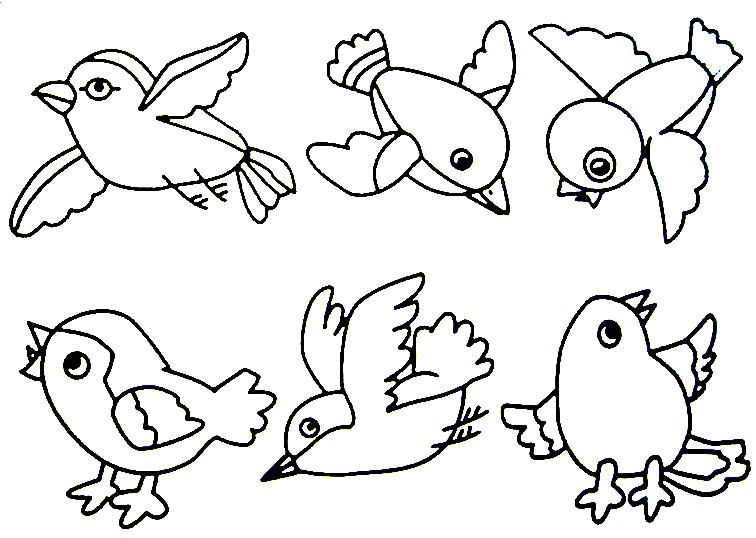 756x538 Bird Projects For Preschoolers Birds Preschool Activities, Birds