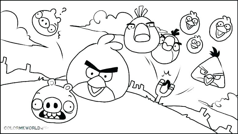 775x438 Coloring Page Bird