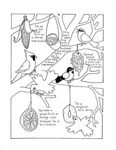 236x305 Design Indaba 2012 Porky Hefer Of Animal Farm Nest, Bird