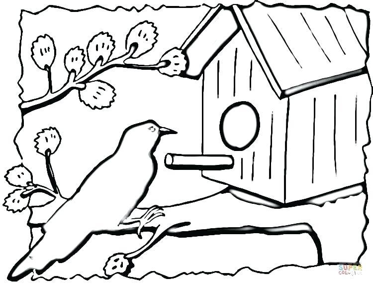 750x574 Coloring Page Of A Bird Click The Birdhouse Coloring Pages
