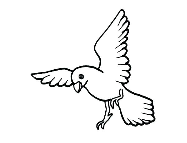600x460 Coloring Page Bird Download Large Image Hummingbird Coloring Page