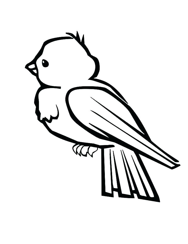 728x942 Coloring Page Birds Colouring Page Of Bird Cage