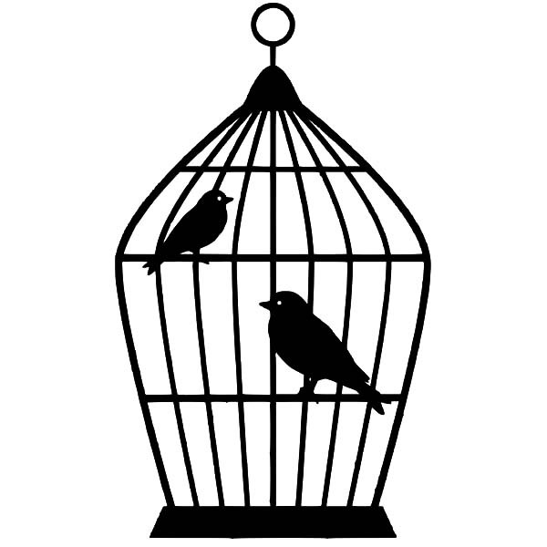 600x600 Bird Cage Picture Coloring Pages Best Place To Color