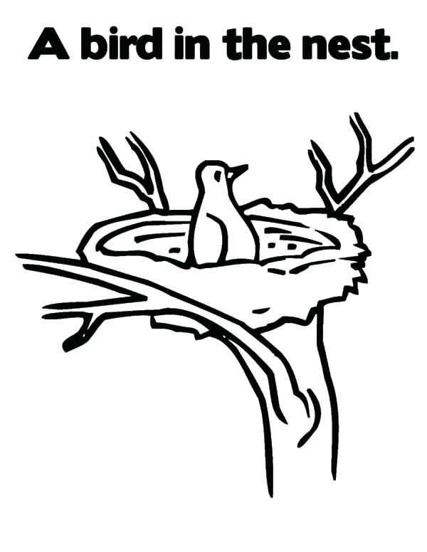 600x776 Bird Nest Coloring Page S S Bird Nest Colouring Page
