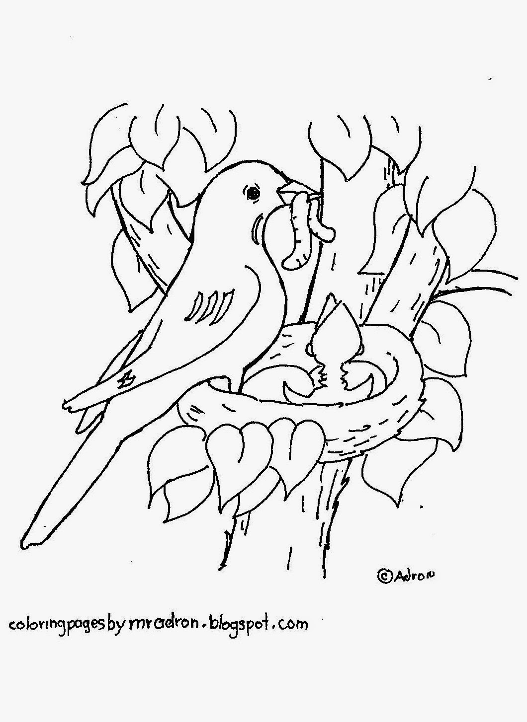 1060x1454 Top Bird Nest Coloring Page Gallery Design Ideas