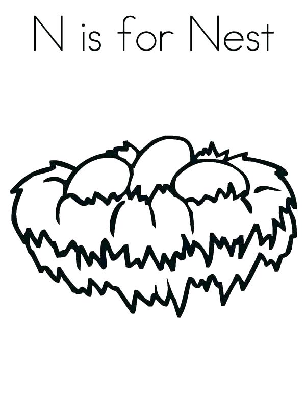 600x776 Toucan Coloring Pages Toucan Coloring Page Bird Nest Coloring Page