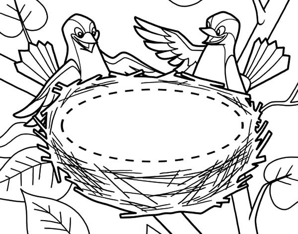 600x471 Bird Couple And Their New Bird Nest Coloring Pages Best Place