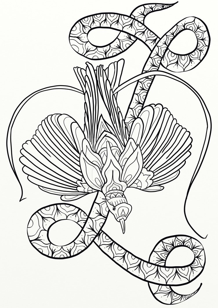 752x1063 Edge Bird Of Paradise Coloring Page Adult By Lorrainekelly