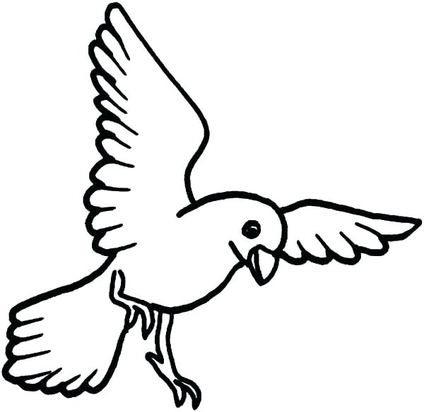 600x584 Big Bird Coloring Pages Big Bird Coloring Pages Birds Coloring