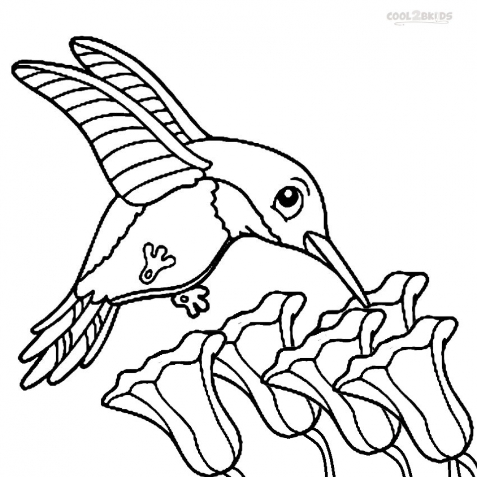 960x960 Printable Hummingbird Coloring Pages 58425 Coloring Pages