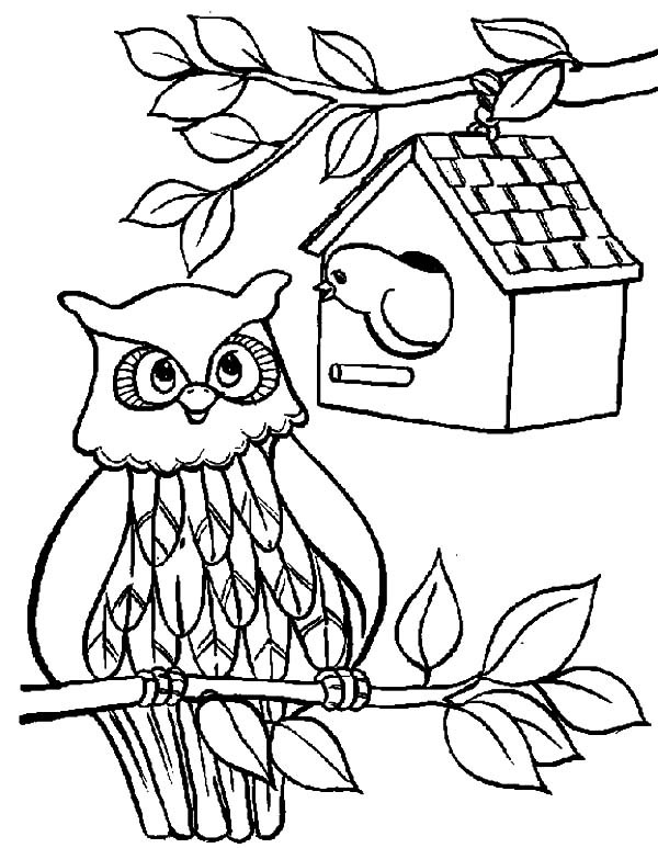 Birdhouse Coloring Pages