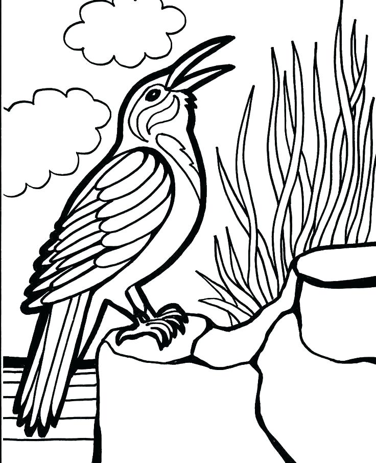 736x906 Space Angry Birds Coloring Pages Angry Birds Space Coloring Pages