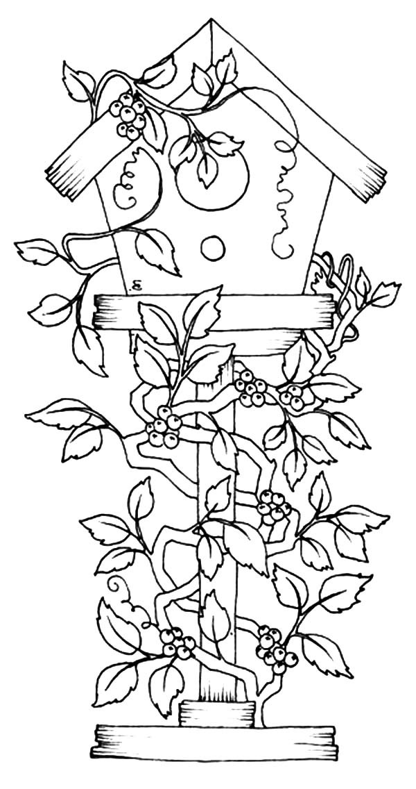 600x1136 Bird House Covered With Flowers Coloring Pages Best Place To Color