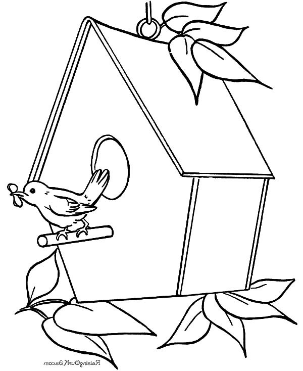 600x734 Bird Singing In Front Of Bird House Coloring Pages Best Place