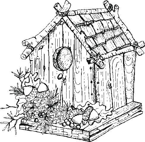 488x481 Bird House Artsy Garden Birds, Adult Coloring