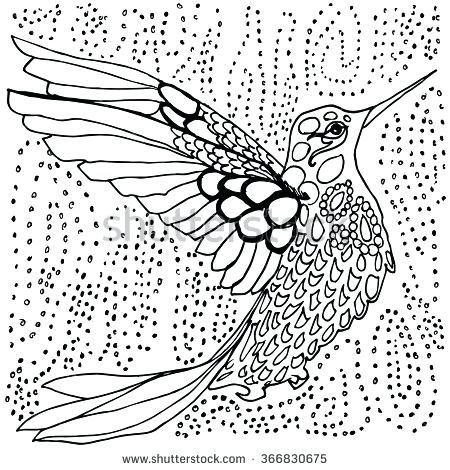 450x470 Coloring Pages Birds Flowers Cardinal Page Purple Kitty Coloring