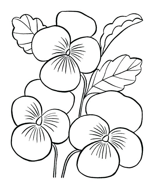 531x650 Easy Flower Coloring Pages These Free Printable Coloring Book