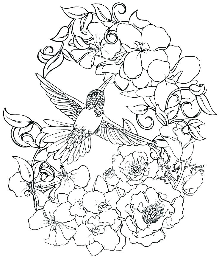 736x866 Realistic Flower Coloring Pages Realistic Flowers Coloring Pages