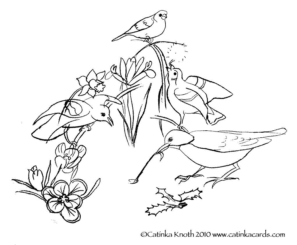 1023x842 Spring Birds Flowers Coloring Page Printable By Catinkarts On Etsy