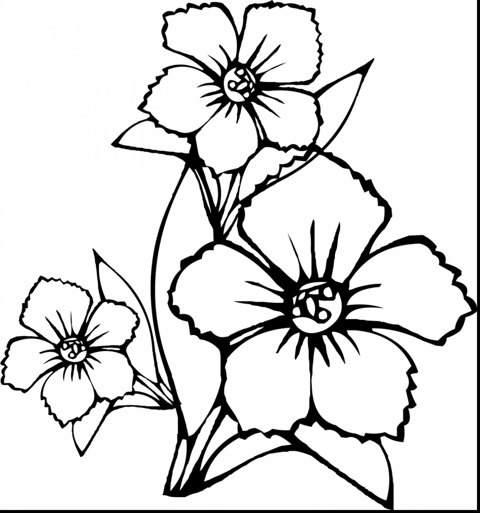 1595x1705 Stylist Design Flowers Coloring Pages Birds Secretary Bird Page