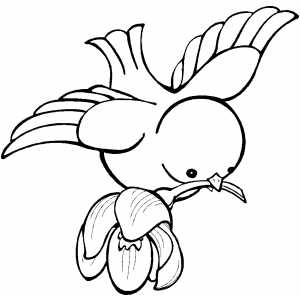 300x300 Bird Flying With Flower On Beak Coloring Sheet
