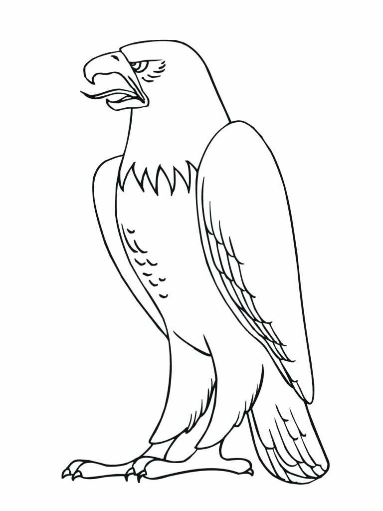 768x1024 Coloring Pages Birds Free New Destiny Of Prey Printable Eagle