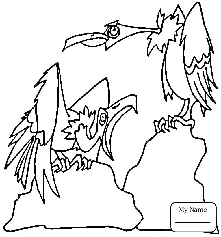 765x821 Red Tailed Hawk Coloring Page Birds Of Prey Coloring Pages