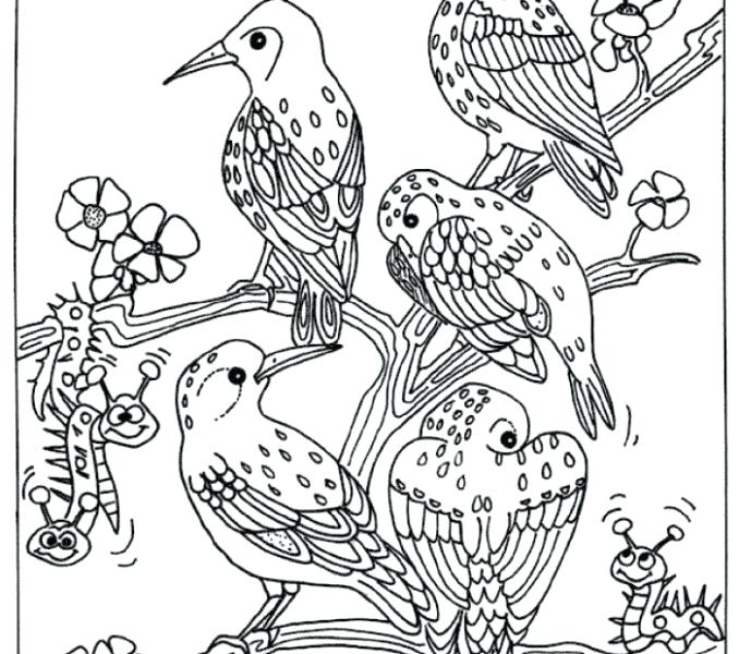 678x600 Birds Coloring Pages Bird Coloring Pages Birds Of Prey Birds
