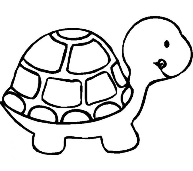 678x600 Black And White Coloring Sheets Coloring Pages