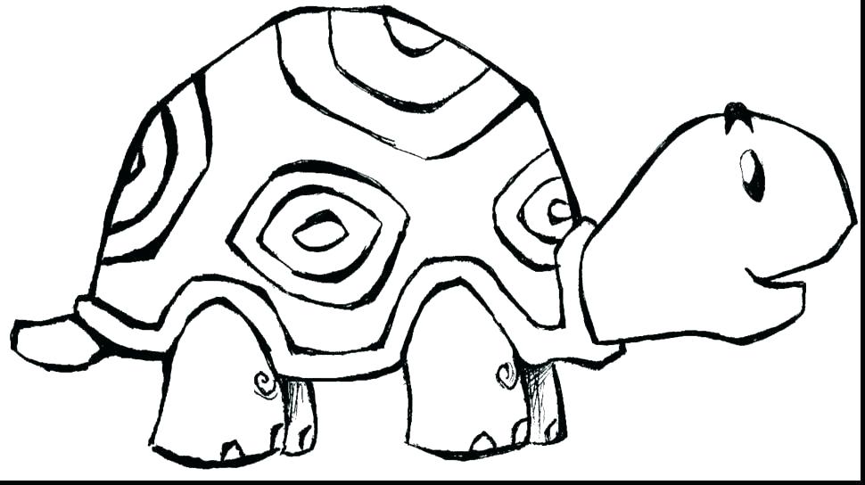970x544 Print Coloring Pages Animals Charming Baby Animals To Color Print