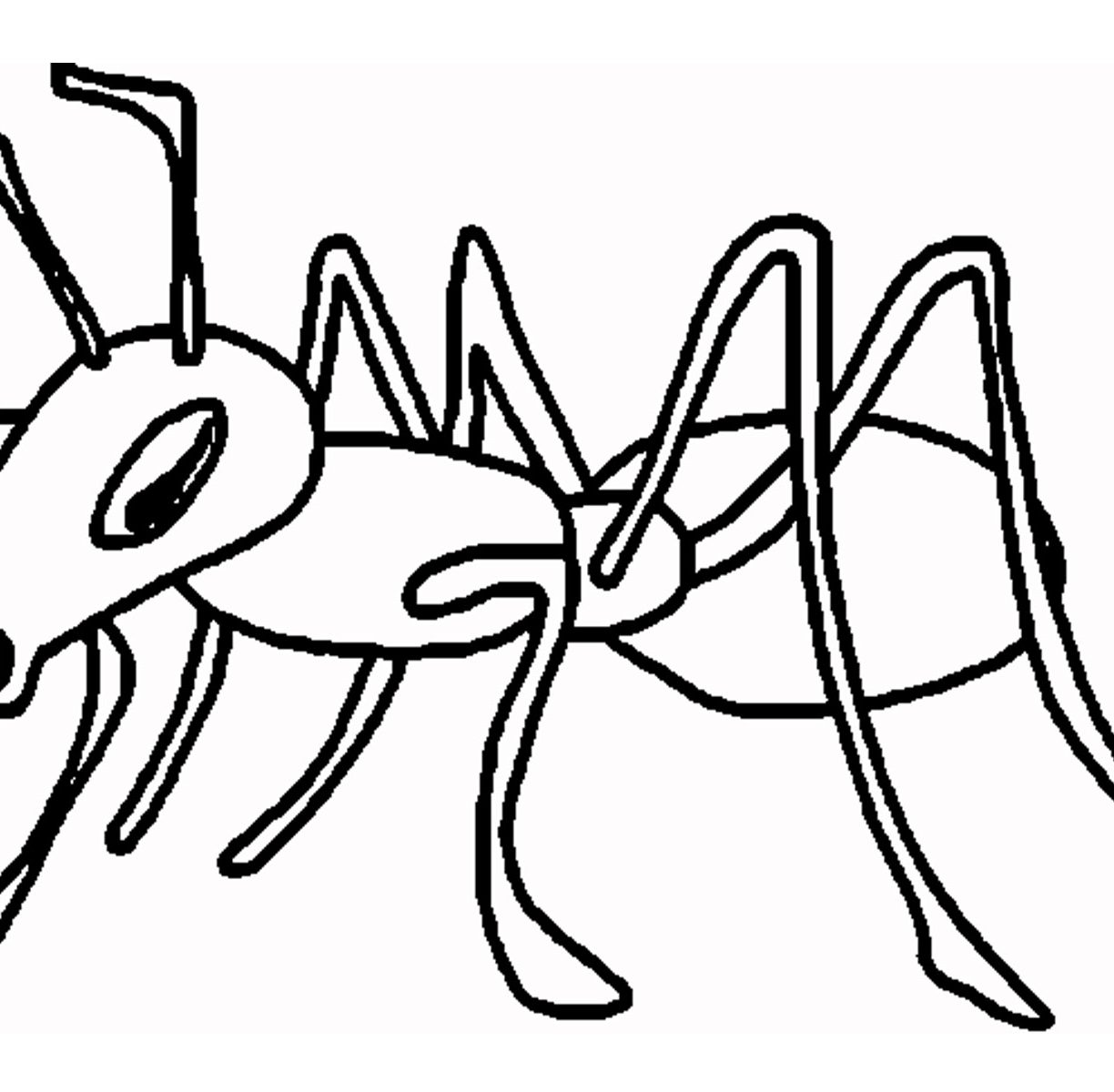 1224x1200 Ant Coloring Page Cartoon And Printable Pages Free Animals Farm